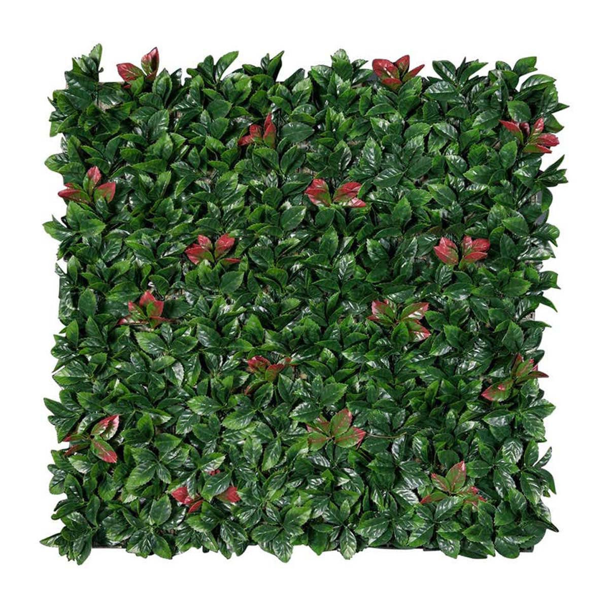 Photinia Giardino Verticale